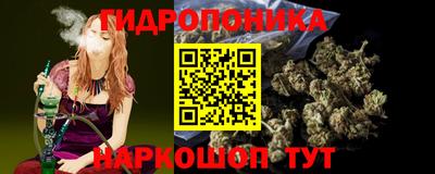 тгк Канаш