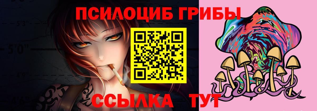 Галлюциногенные грибы ЛСД  Вход с VPN  Георгиевск 