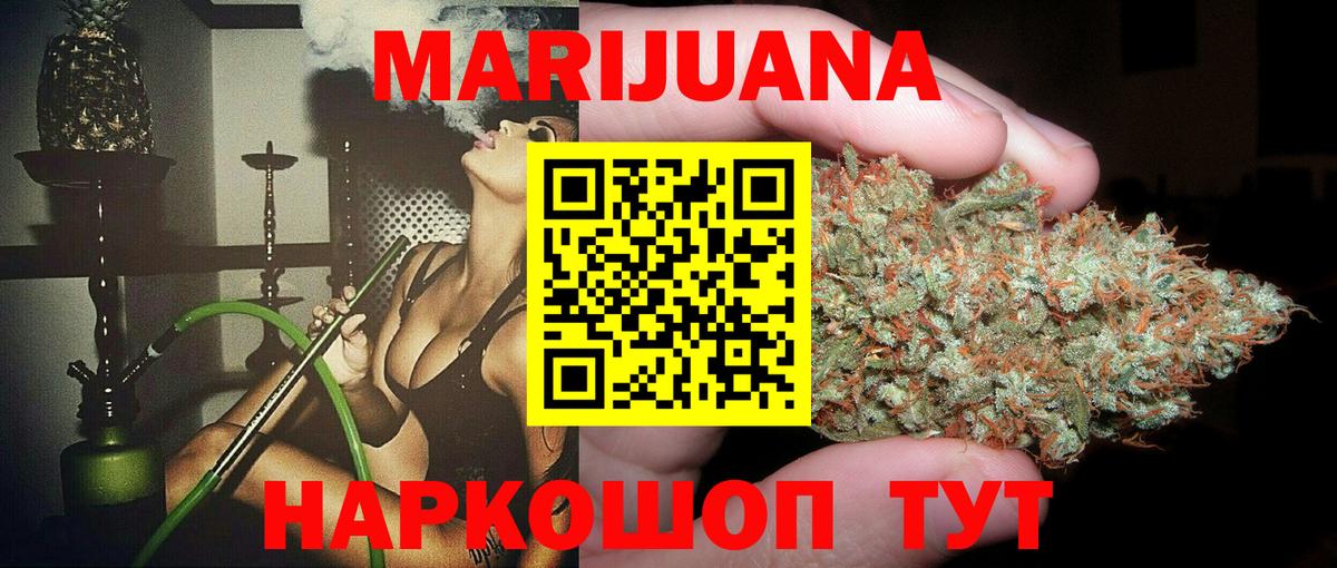 Бошки Шишки планчик Георгиевск